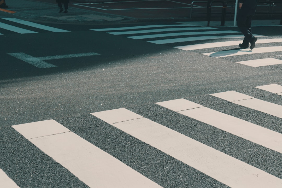 Pedestrian using a marked crossing during a community health nursing windshield survey
