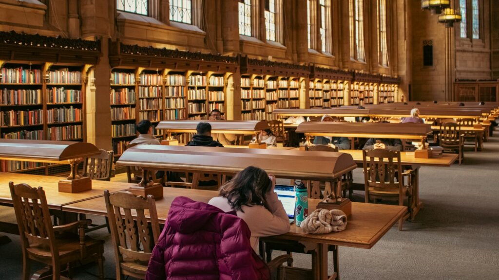 Using the PEEL Paragraph Structure in Nursing Essays